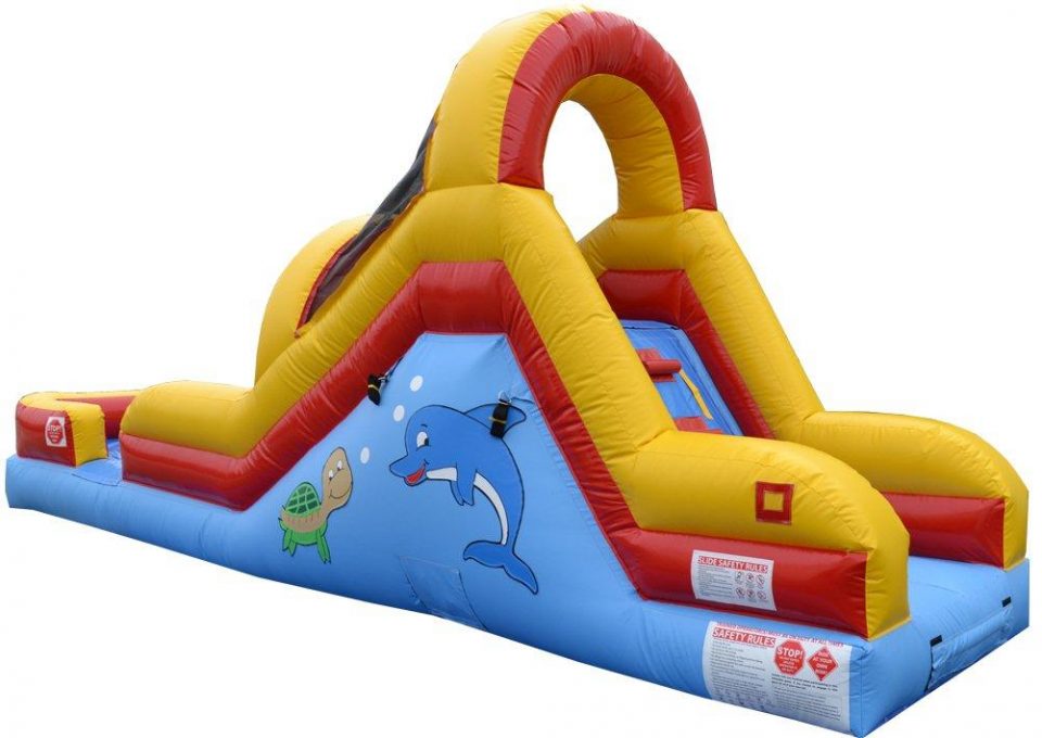 Toddler Wet and Dry Inflatable Slide