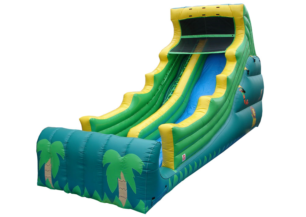 Inflatable Mungo Surf Slide for Kids